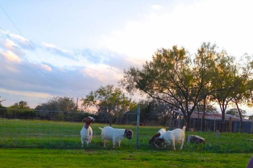 A few of our landscapers