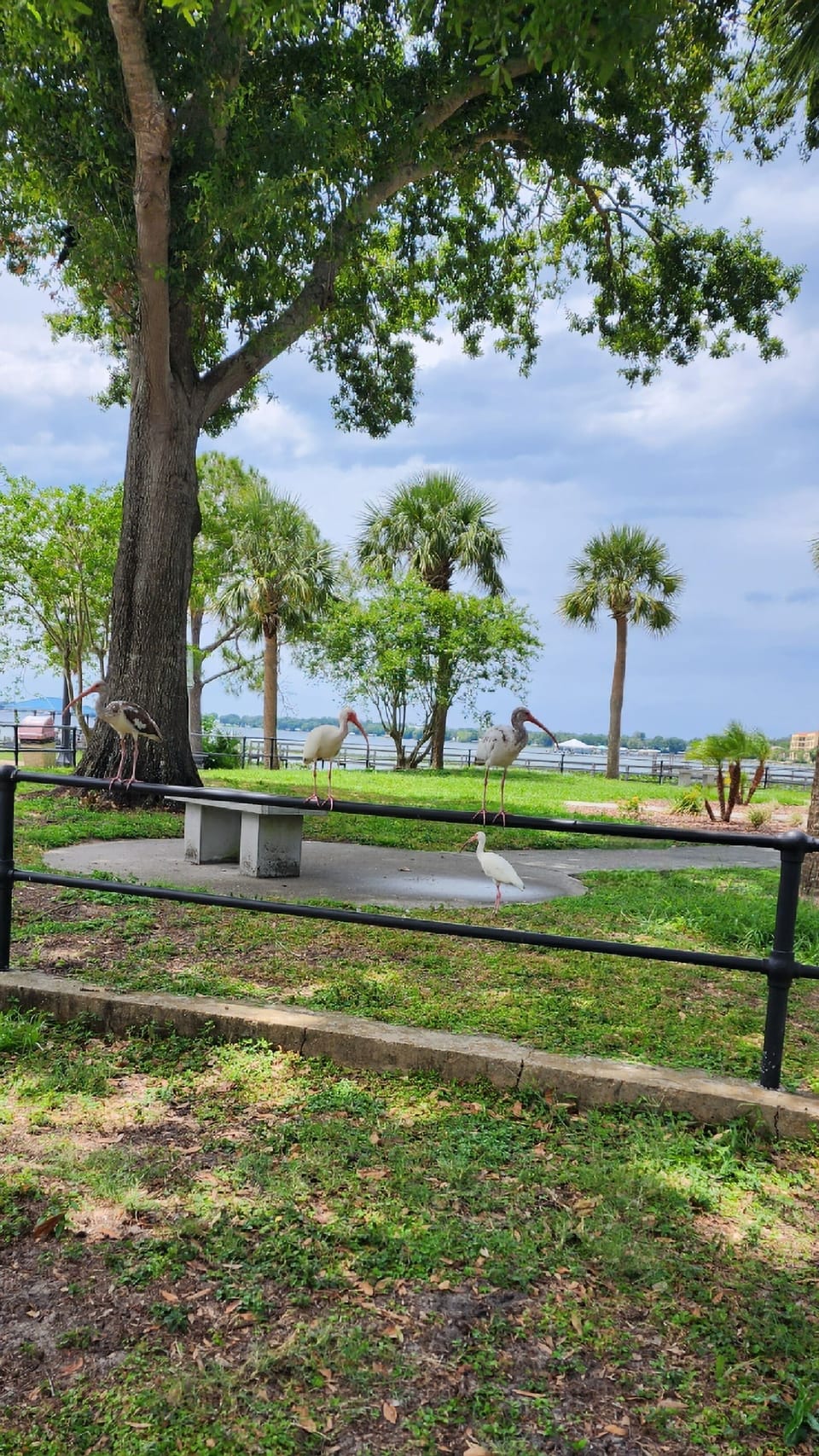 Sebring beach, apx 15 min
