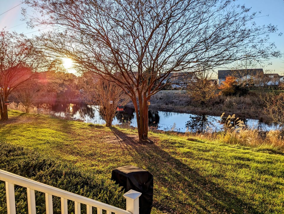 128C October Glory, Bear Trap