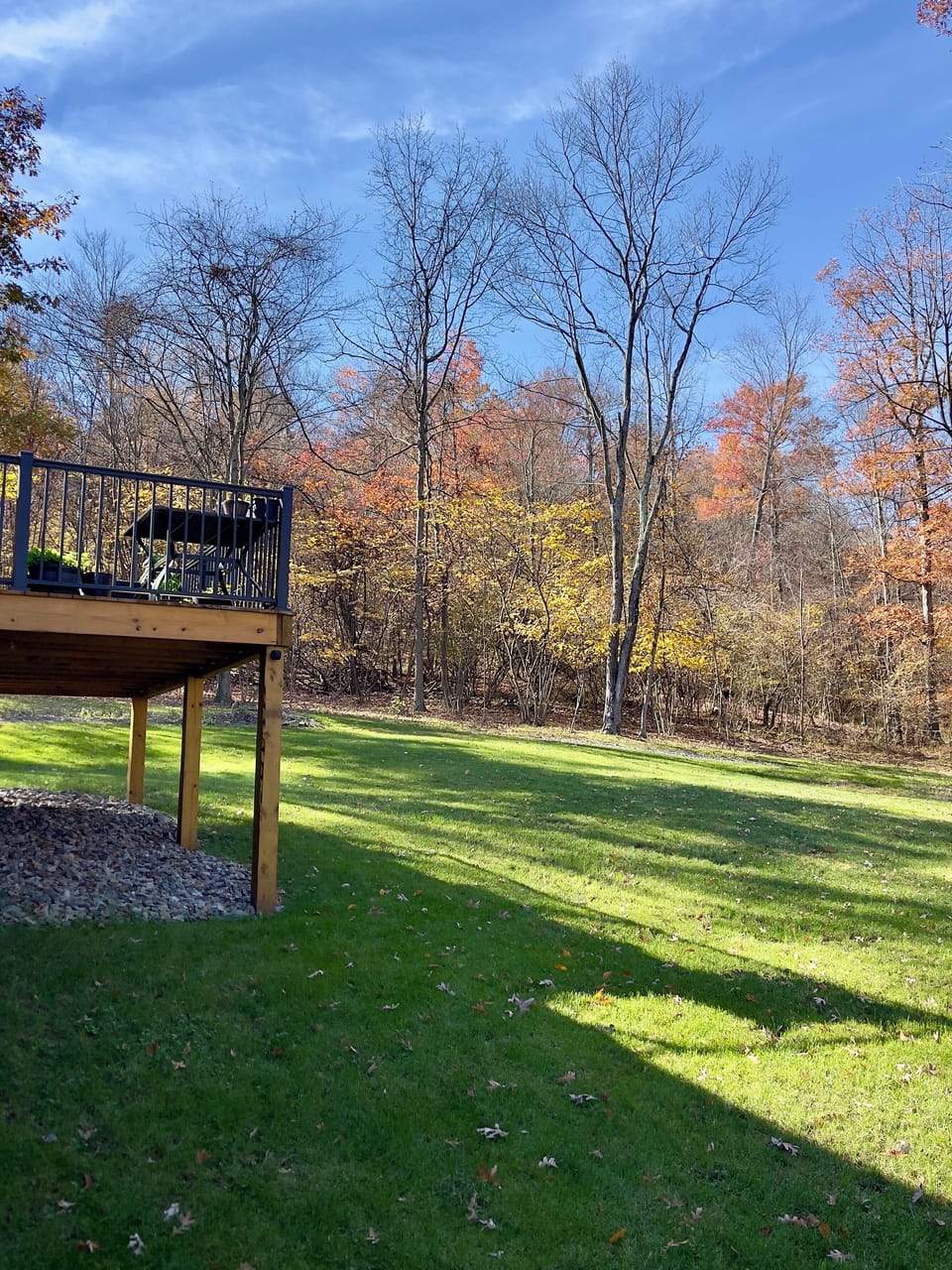 Fall season views (back yard)