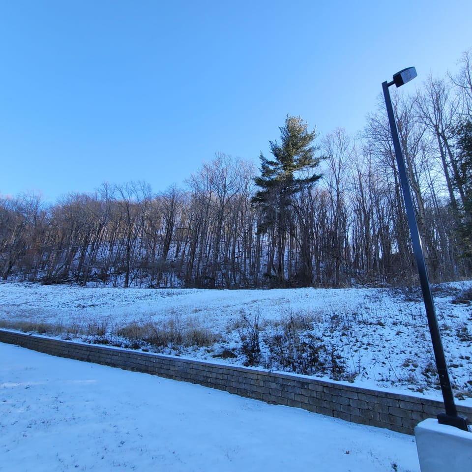 Patio overlooks scenic natural area - winter 