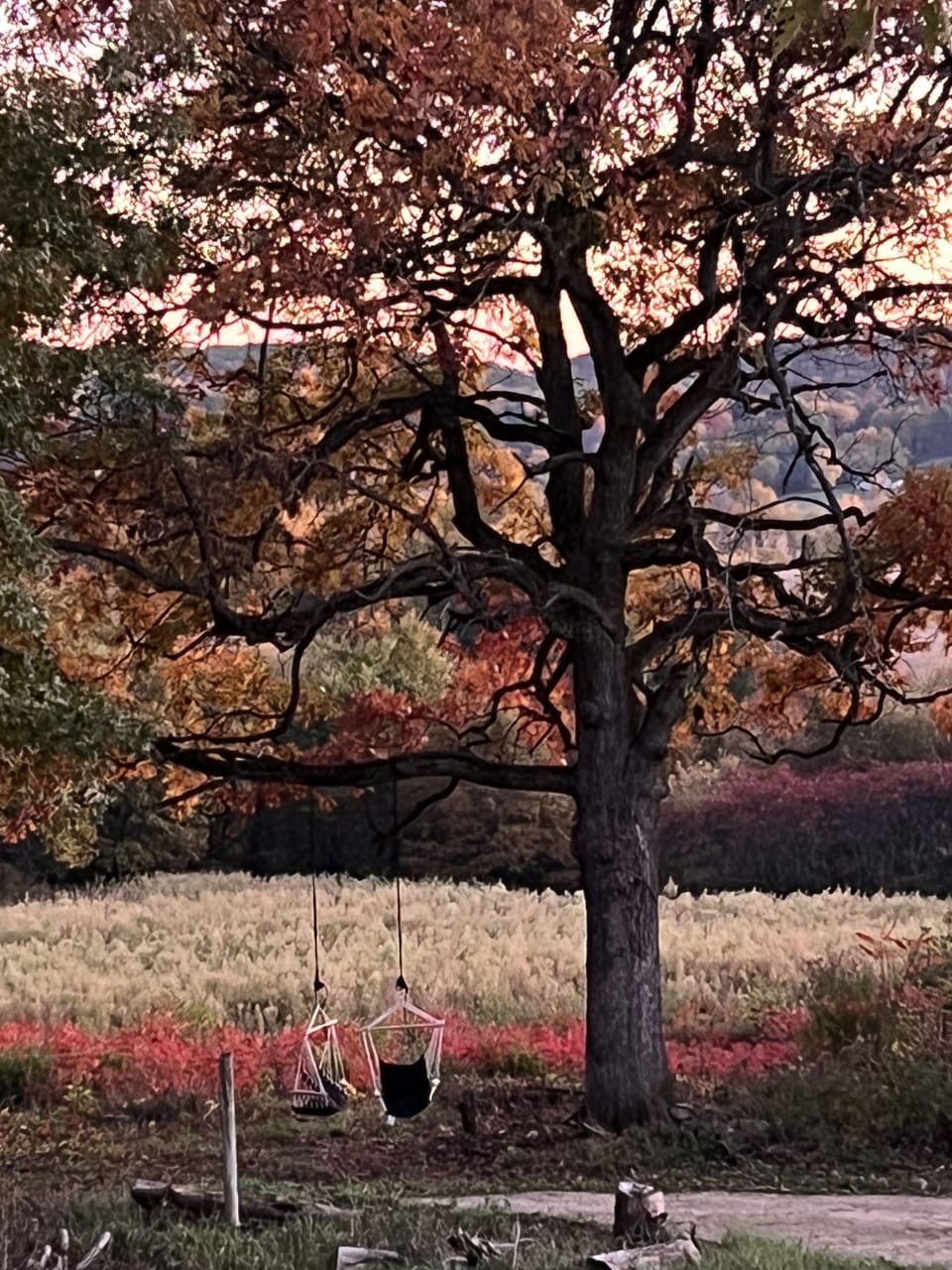 Two swings available relaxing and enjoying the View!!