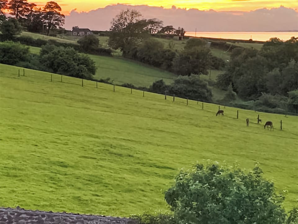 View | The Hideaway, Kilve, near Bridgwater