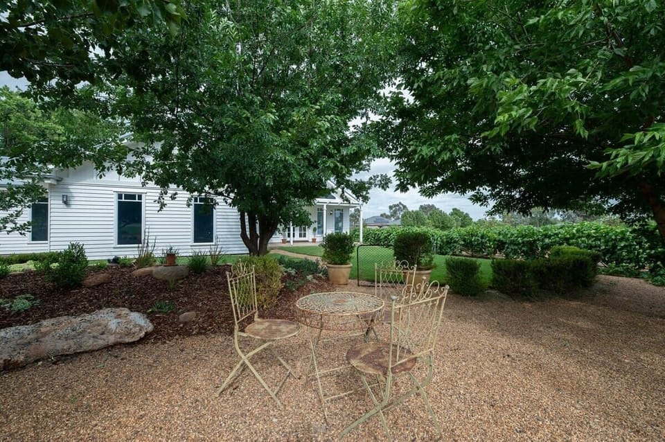 Seating Area Amidst Leafy Backyard