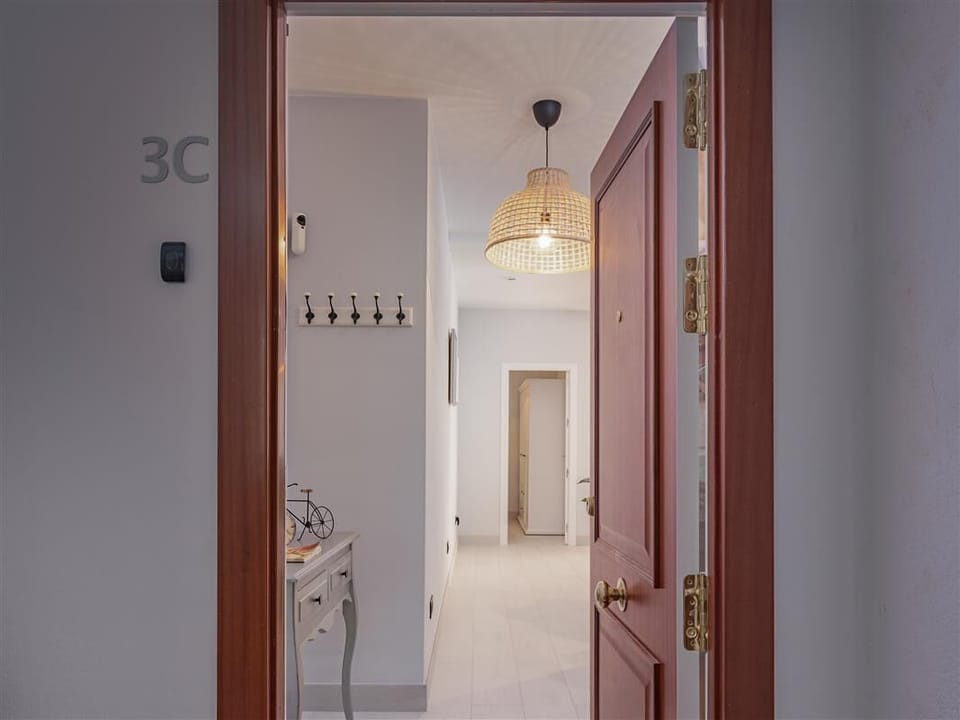 Entrance to the apartment 