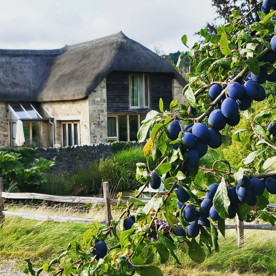 In seasons gorgeous plums, apples, pears and other fruit are shared with guests