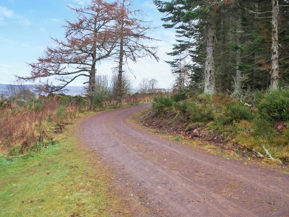 Miles of forest walks immediately behind the lodge | Rowan Lodge, Culbokie, near Dingwall