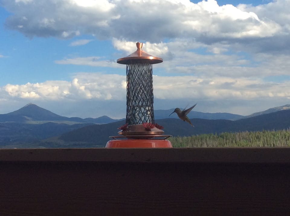 panoramic views and wildlife from deck