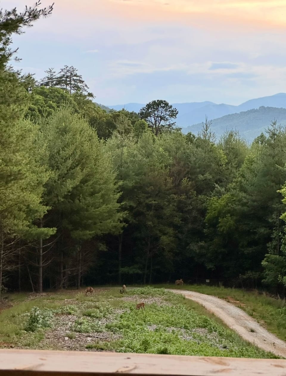 View from property