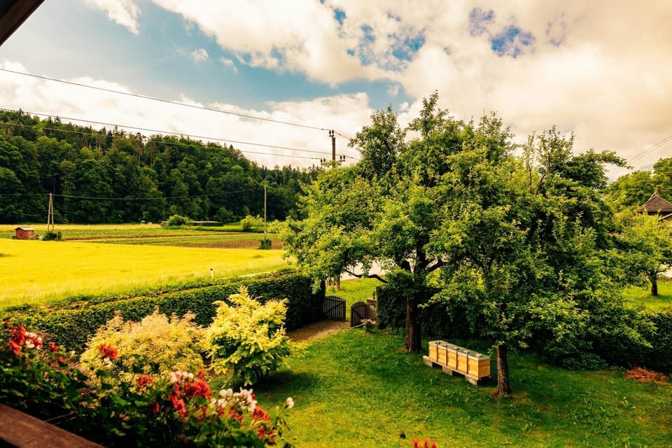 View from Holiday Home [summer]