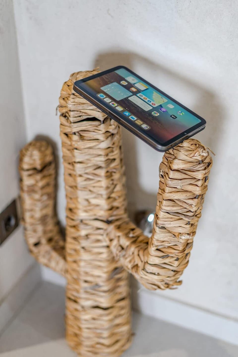 Entrance with iPad managing the Smart Home