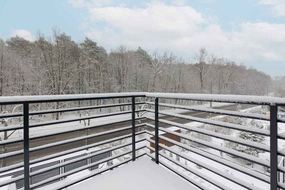 A balcony view with a black railing, overlooking a snow-covered forest landscape.