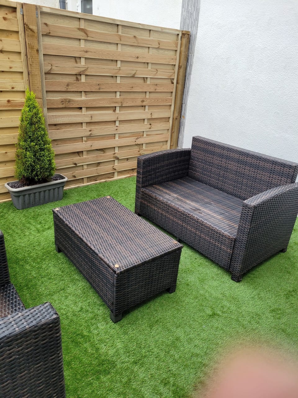 Back Garden