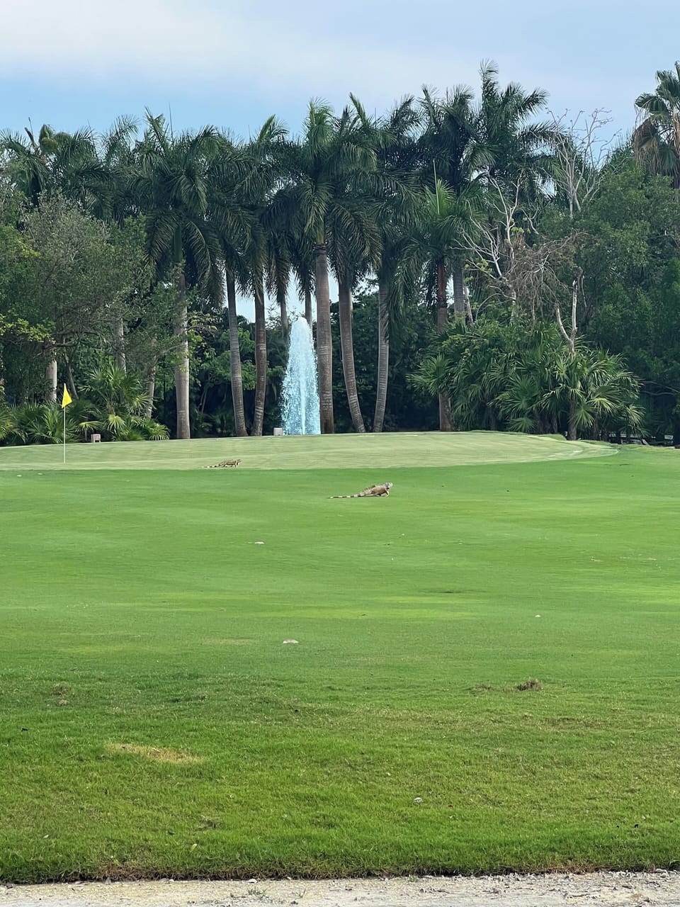 Golf