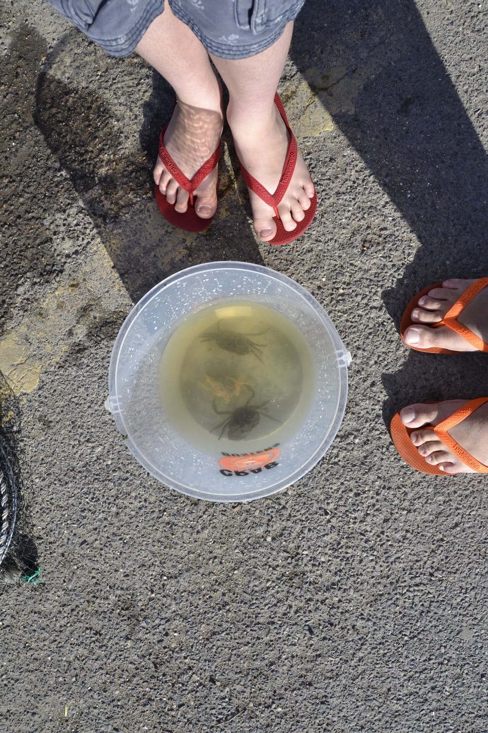 Crabbing
