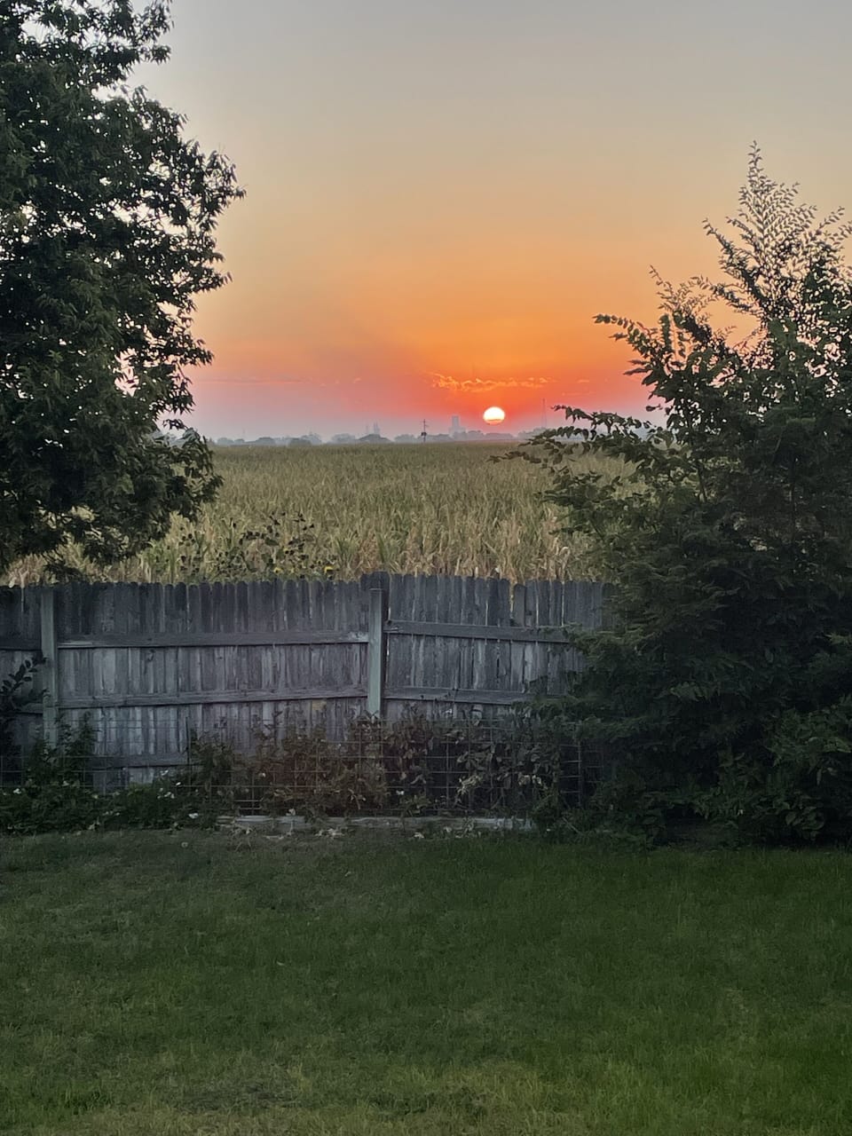 July Sunset