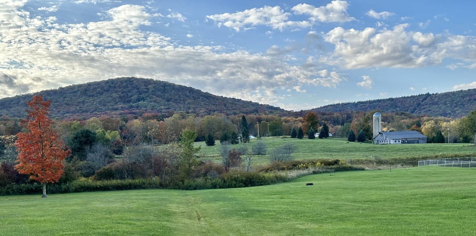 View from the fishing pond