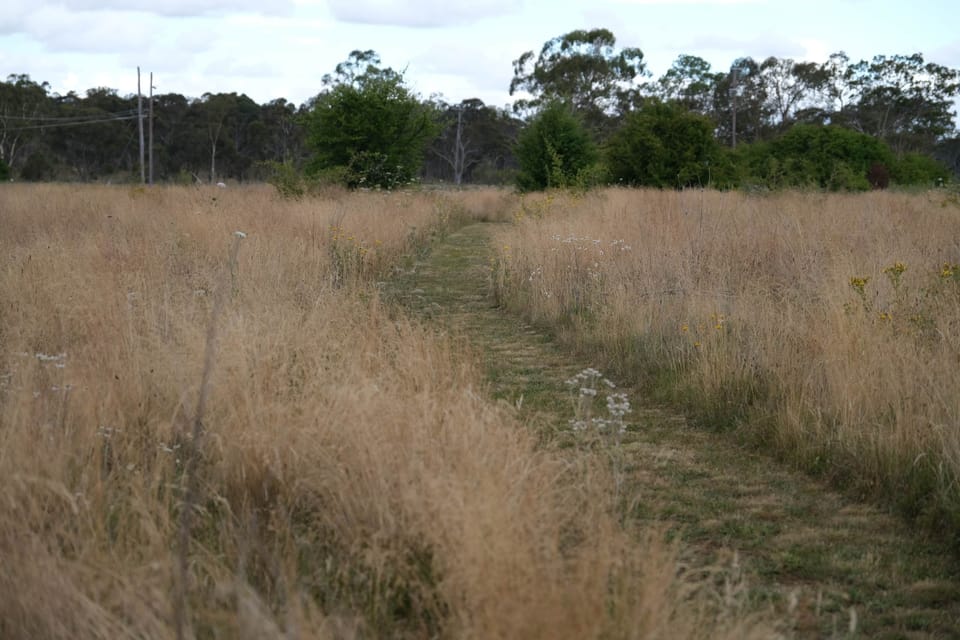 Back Paddock Walking Park(1)