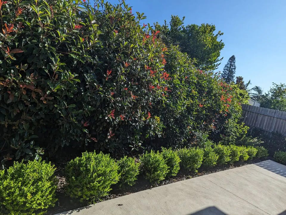 Garden views 