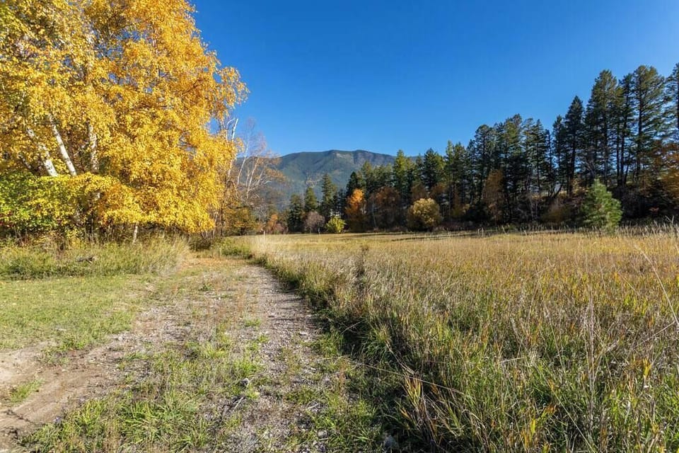 Shannon (guest review): "A great place close to Glacier National Park. Easy to access town while feeling like you are in the middle of the woods. We will be back!"