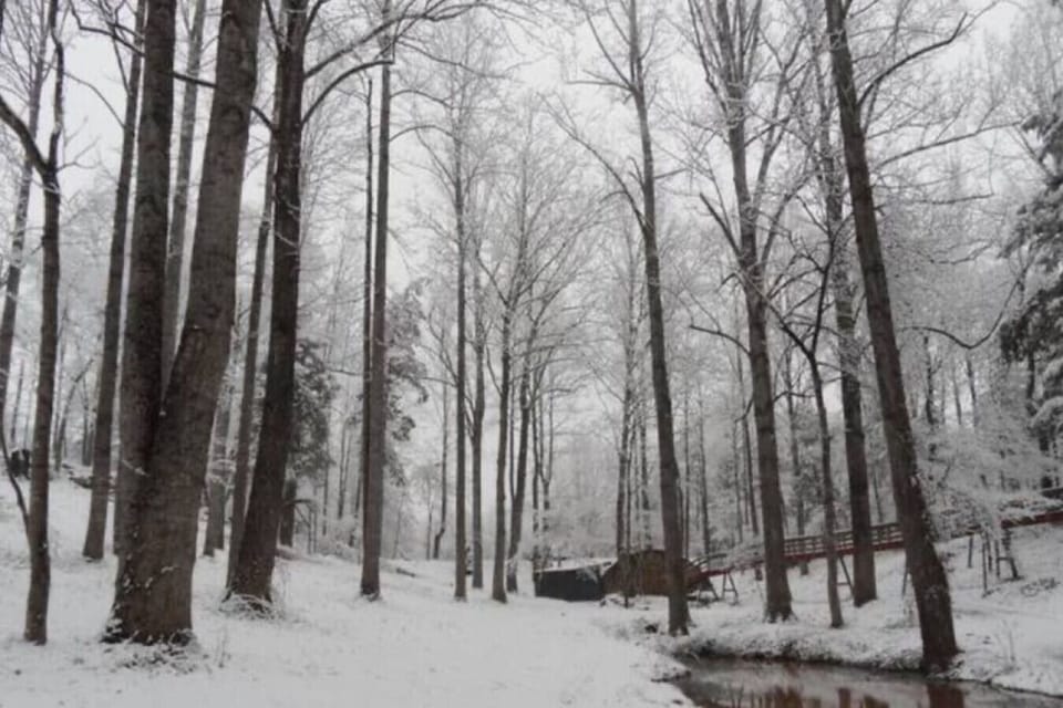 A perfect day for a sauna!