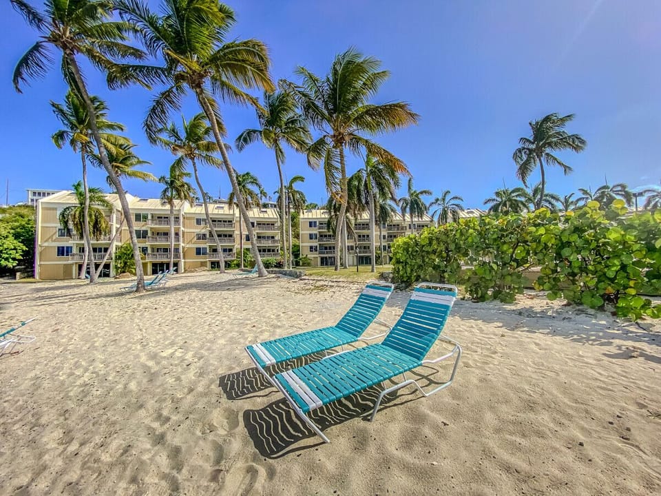 The beach outfront - with chaise lounges
