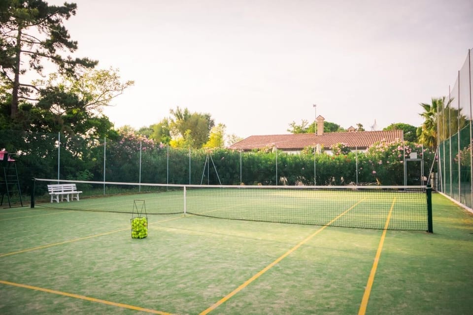 Sport court
