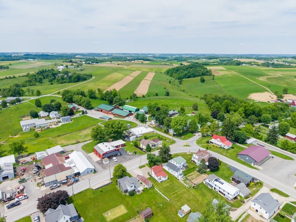 Bird`s Eye View