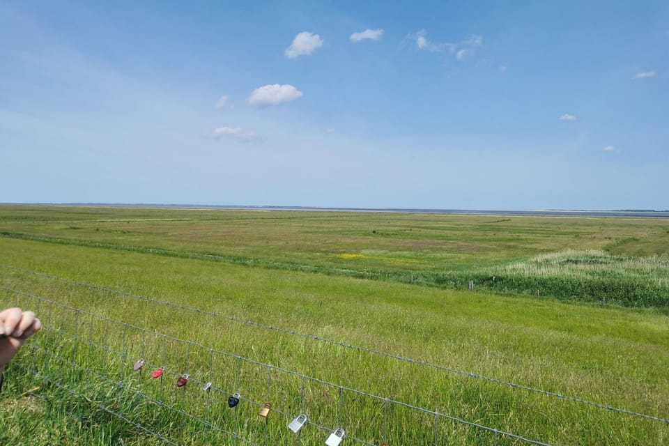 Surroundings [summer] (1-5 km)