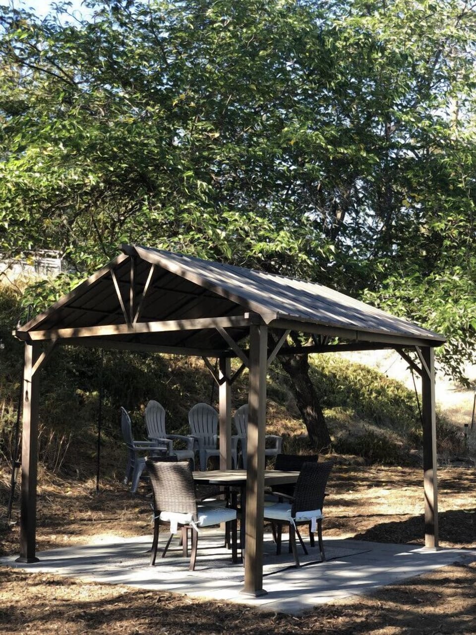 Backyard Relaxing!