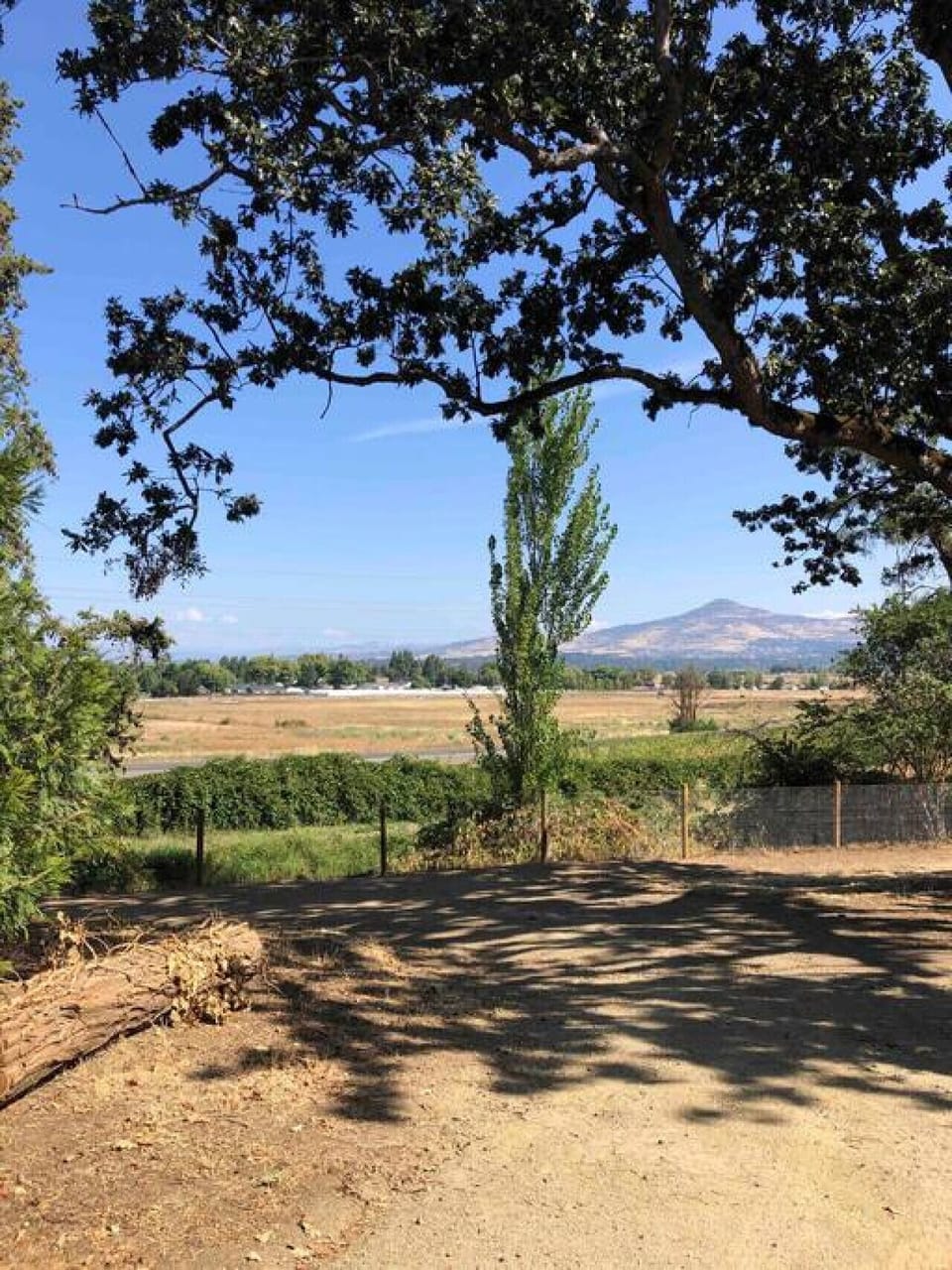 Take in the Views of Southern Oregon!