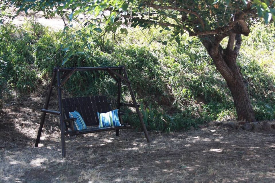 Backyard swing!