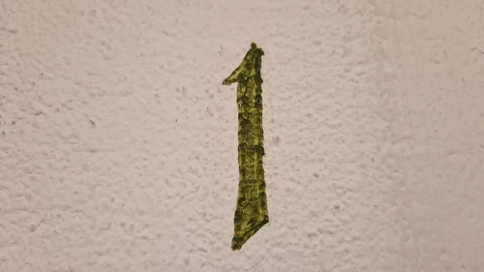 Decorative detail