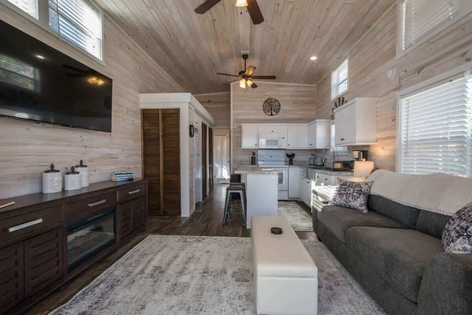 Living Room with pull out full size sleeper sofa