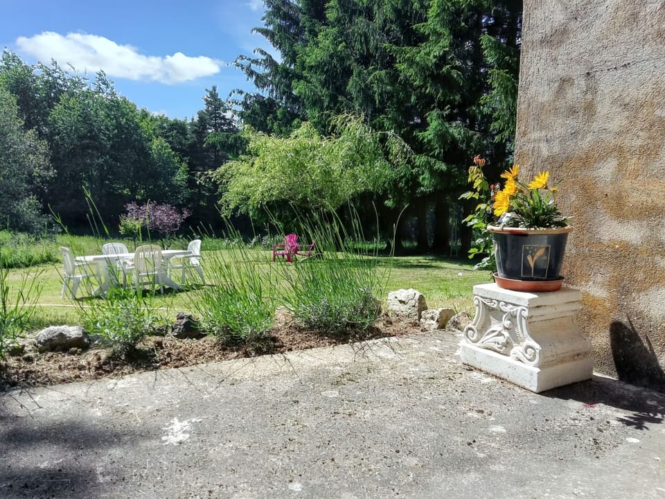 Garden view