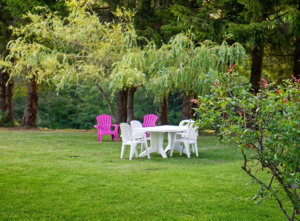 Garden view