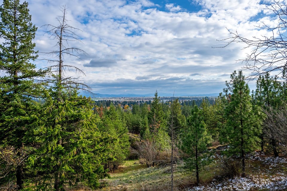 Beautiful scenic vistas at the top of the trail.