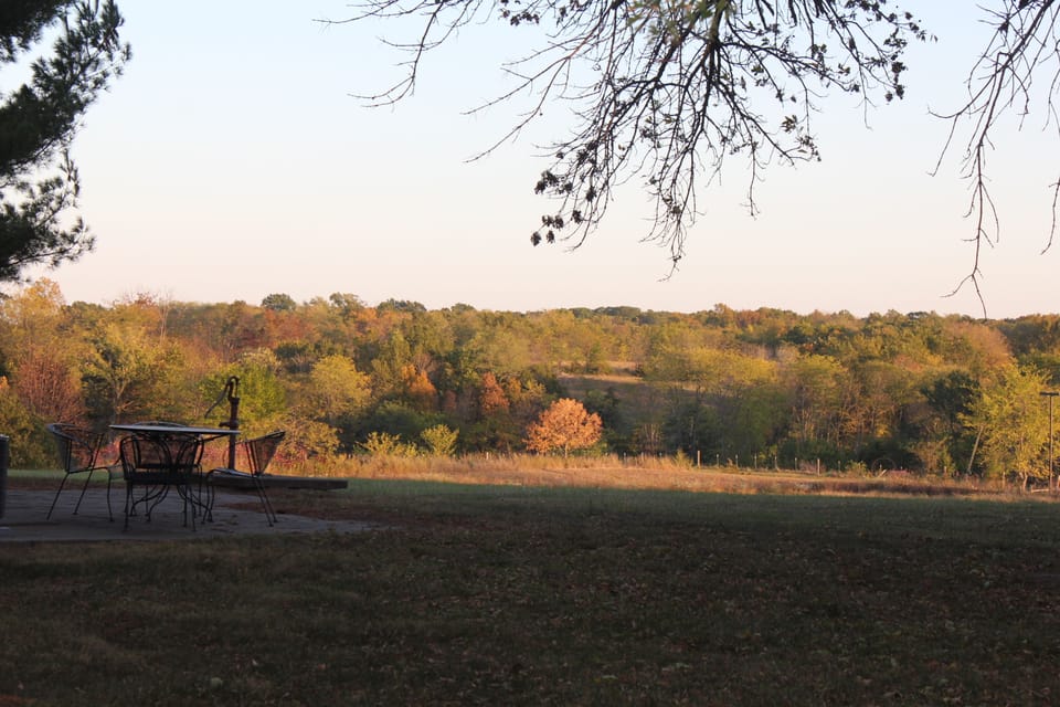 View from Patio