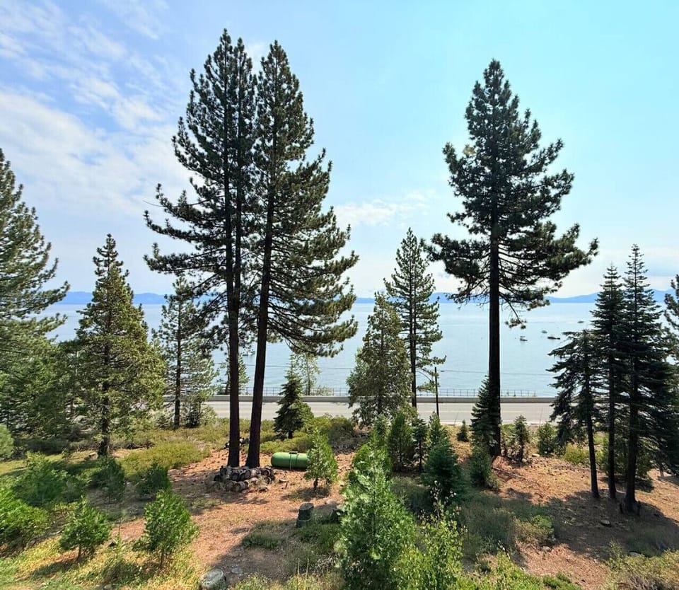 Trees, water, and skies—pure cabin serenity.