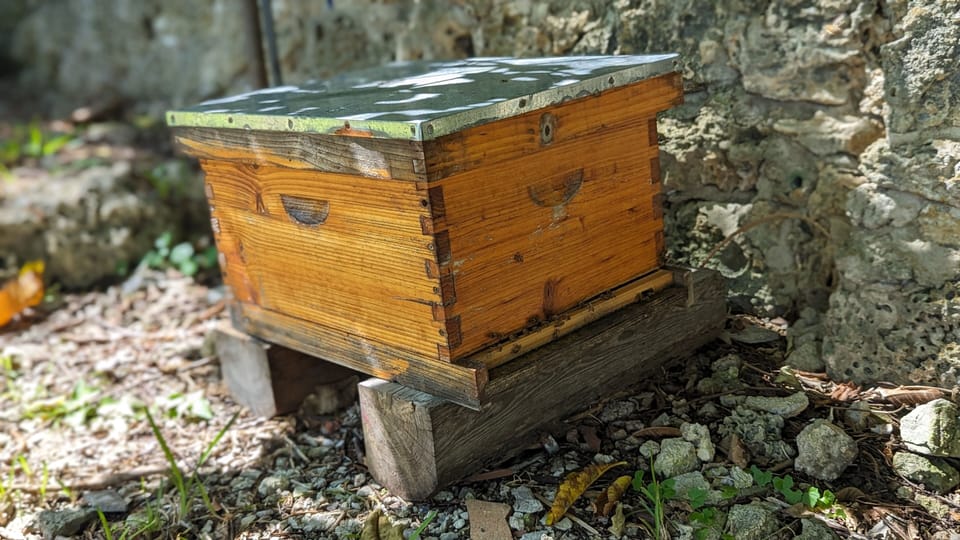 We keep bees!