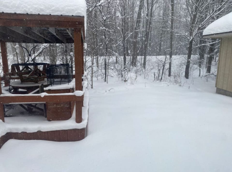 Brimley Lodge - View of Trail system from patio