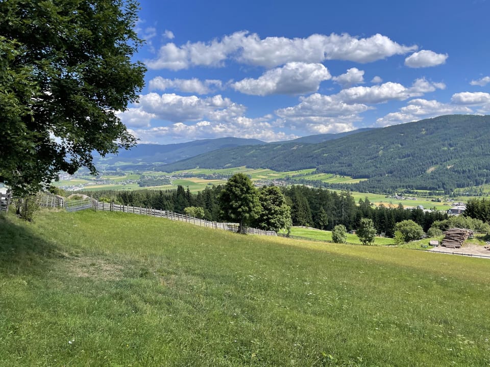 Region [summer] (>5 km)