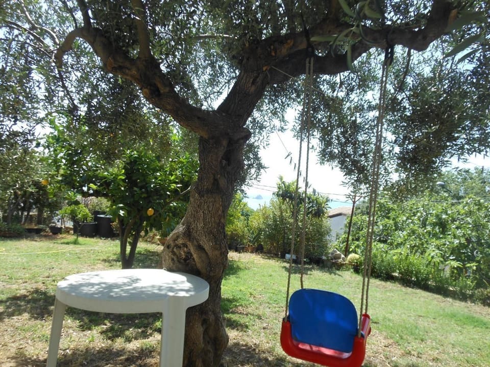 Picture 2