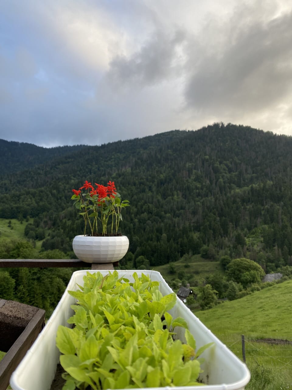 View from property