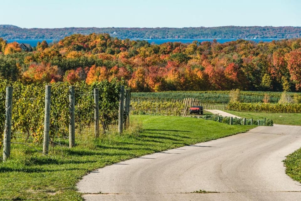 Visit local wineries on the Leelanau or Old Mission Peninsulas for great wine and breathtaking views!