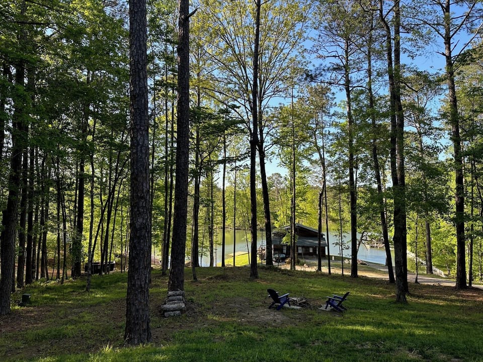 View of Lake Martin through the trees from the Barn.