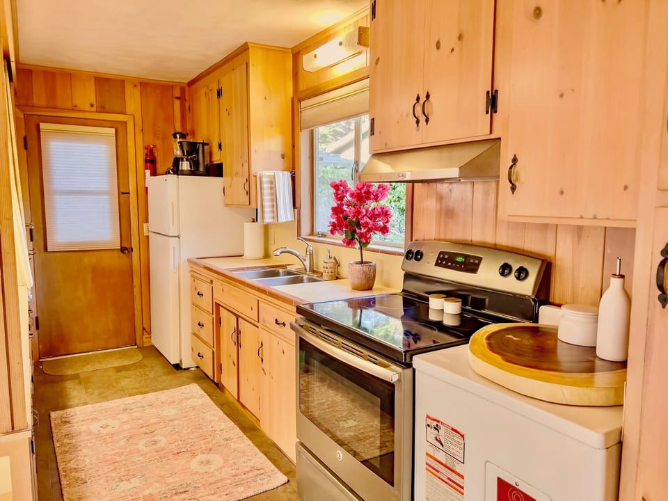 Electric oven and drip coffee