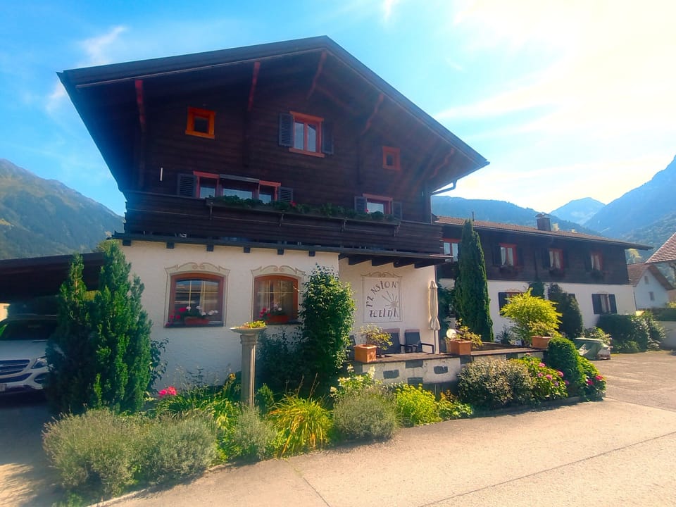 Main view