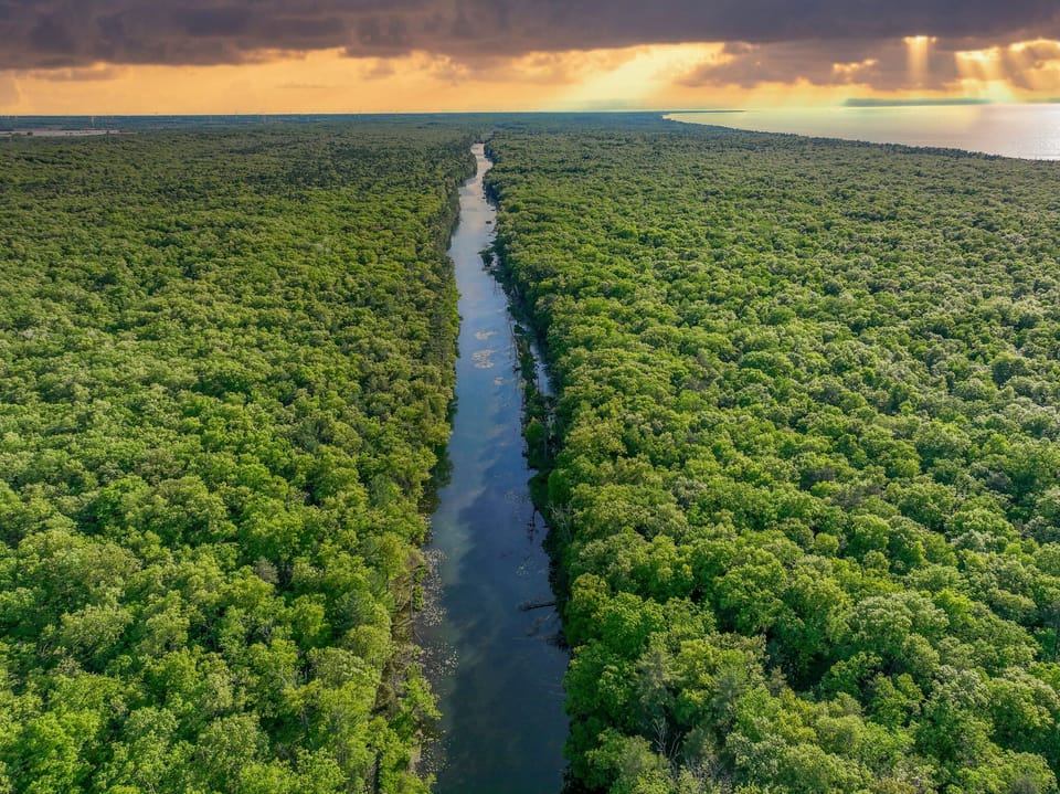 Aerial view