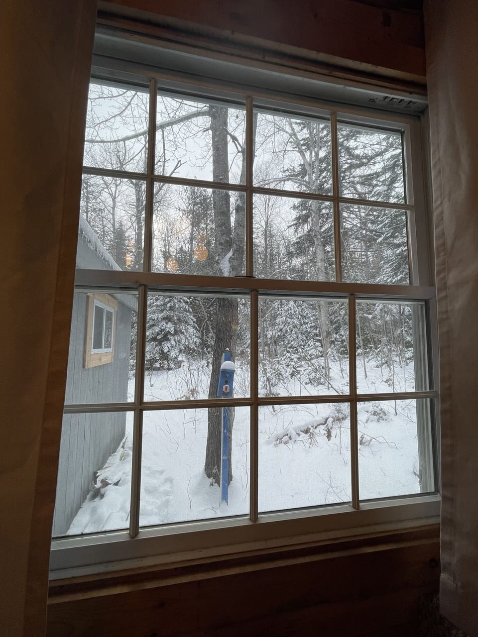 Back window
